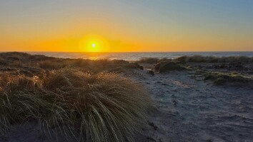 Sommerhus Nordjylland marts 2025-08