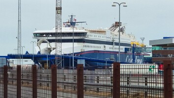 Sommerhus Nordjylland marts 2025-11