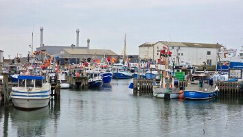 Sommerhus Nordjylland marts 2025-14