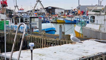 Sommerhus Nordjylland marts 2025-15