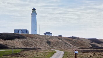 Sommerhus Nordjylland marts 2025-16