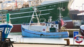 Sommerhus Nordjylland marts 2025-41