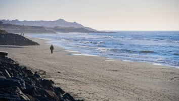 Sommerhus Nordjylland marts 2025-43