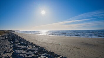 Sommerhus Nordjylland marts 2025-44