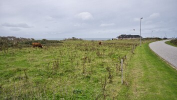 NZ7 0507