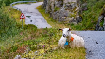 Norge 2023 -35