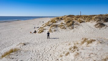 Esbjerg 2025-39