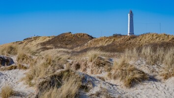 Esbjerg 2025-40