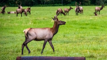USA 2019 09 08-47