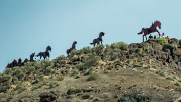 USA 2019 09 08-66