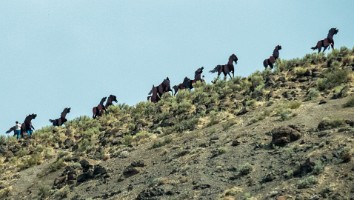 USA 2019 09 08-67
