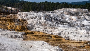 USA 2019 09 09-38