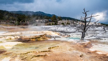 USA 2019 09 09-57