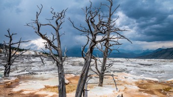 USA 2019 09 09-58