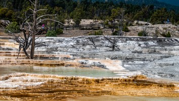 USA 2019 09 09-62