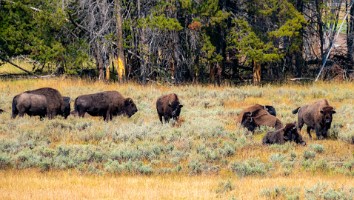 USA 2019 09 10-23