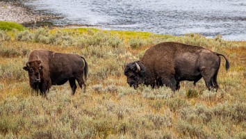 USA 2019 09 10-25