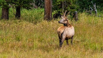 USA 2019 09 10-37