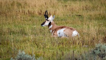 USA 2019 09 10-38