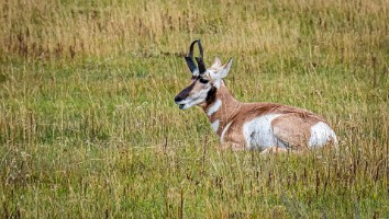 USA 2019 09 10-39
