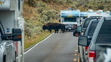 USA 2019 09 10-45