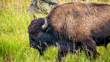 USA 2019 09 10-48