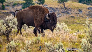USA 2019 09 10-49