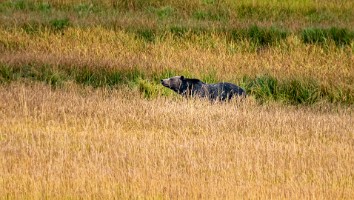 USA 2019 09 10-54