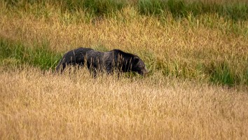 USA 2019 09 10-55