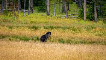 USA 2019 09 10-56