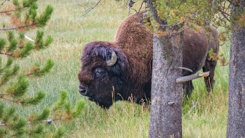 USA 2019 09 11-14
