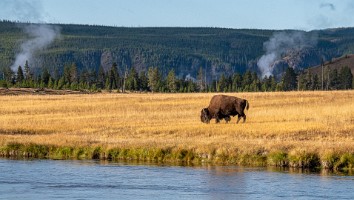 USA 2019 09 12-19