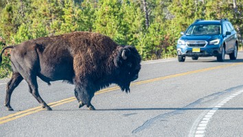 USA 2019 09 12-23