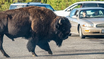 USA 2019 09 12-24