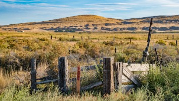 USA 2019 14 sept-10