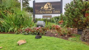 USA 2019 15 sept-20