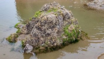 USA 2019 16 sept web-24