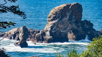 USA 2019 16 sept web-47