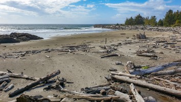 USA 2019 17 sept web-11