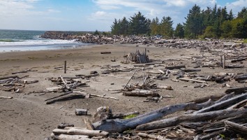 USA 2019 17 sept web-13