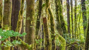 USA 2019 18 sept web-14
