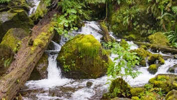 USA 2019 18 sept web-18