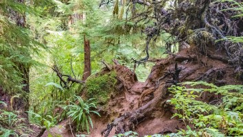 USA 2019 18 sept web-30