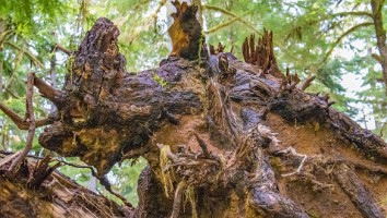 USA 2019 18 sept web-31