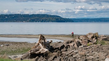 USA 2019 19 sept web-12