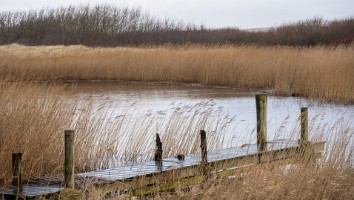 Vesterhavet feb 2022-13