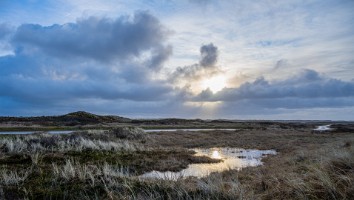 Vesterhavet feb 2022-18