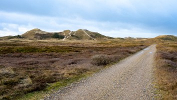 Vesterhavet feb 2022-22