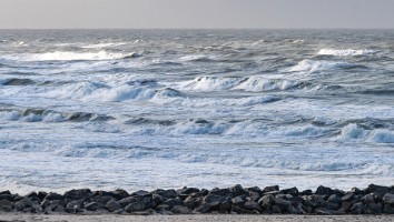 Vesterhavet feb 2022-27